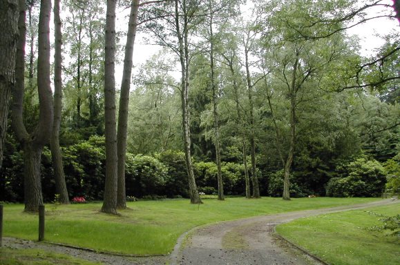 L:\E18_7\Öffentlichkeitsarbeit\Friedhöfe Fotos 2011\Wald\Wald Baumbeisetzung2152.JPG